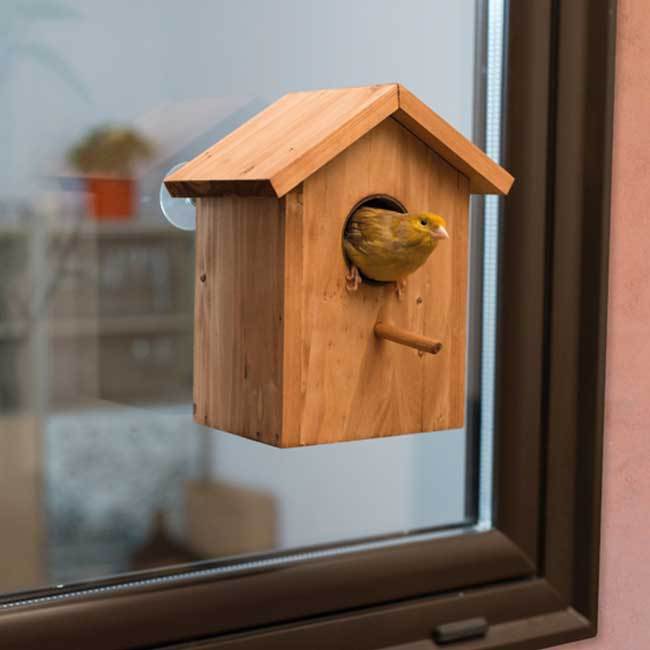 Bird Watcha Feeder - Casa para pájaros